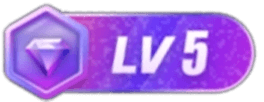 LV5 等级-LV5-讯领网创