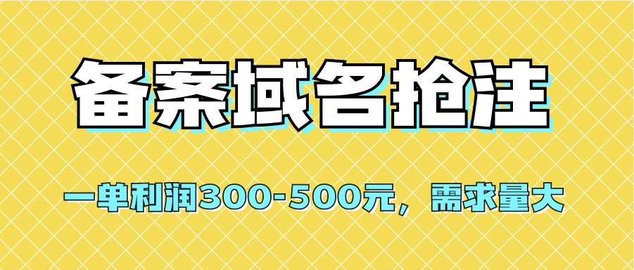 【全网首发】备案域名抢注，一单利润300-500元，需求量大-讯领网创