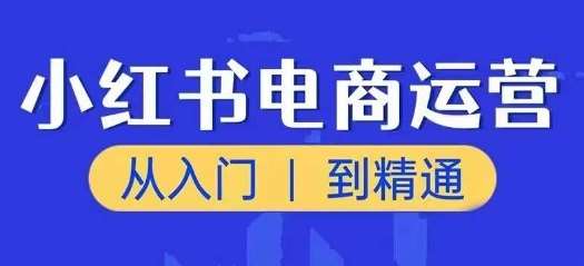 小红书电商运营课，从入门到精通，带你抓住又一个赚钱风口-讯领网创