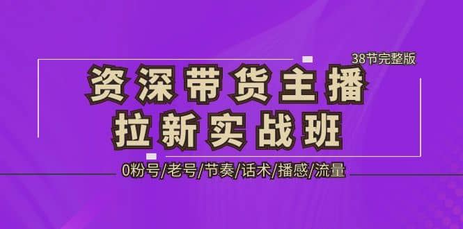资深·带货主播拉新实战班，0粉号/老号/节奏/话术/播感/流量-38节完整版-讯领网创