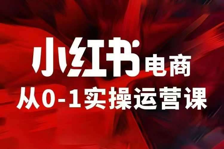 小红书电商运营，97节小红书vip内部课，带你实现小红书赚钱-讯领网创