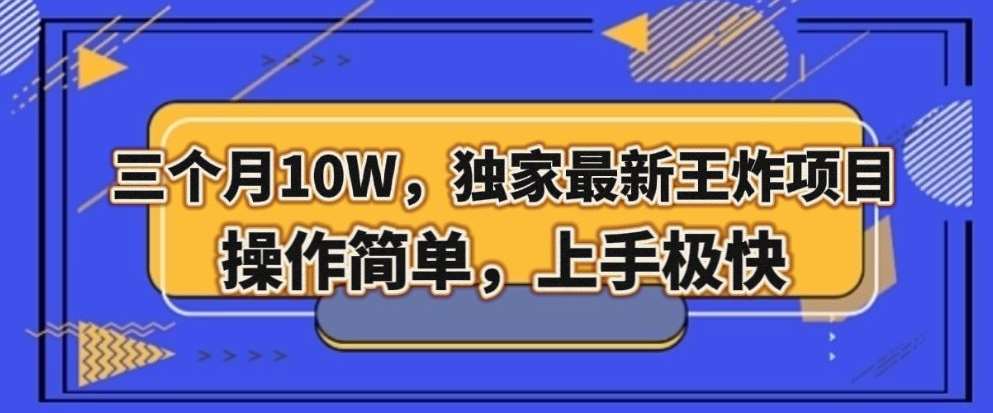 三个月10W，独家最新王炸项目！操作简单，上手极快【揭秘】-讯领网创