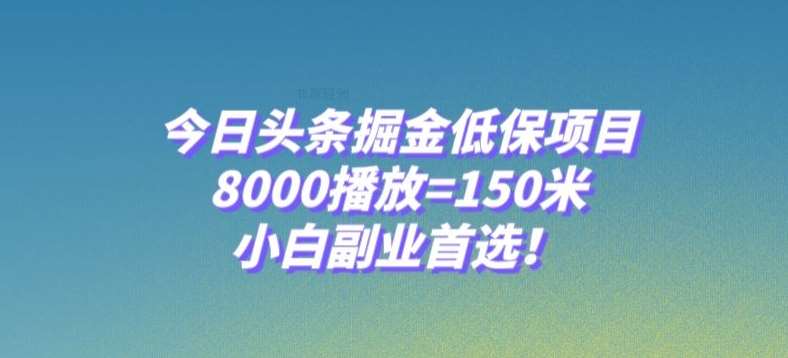 今日头条掘金低保项目，8000播放=150米，小白副业首选【揭秘】-讯领网创
