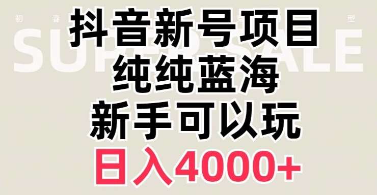 抖音蓝海赛道，必须是新账号，日入4000+【揭秘】-讯领网创