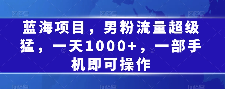 蓝海项目，男粉流量超级猛，一天1000+，一部手机即可操作【揭秘】-讯领网创