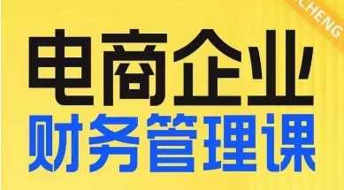 电商企业财务管理线上课，为电商企业规划财税-讯领网创