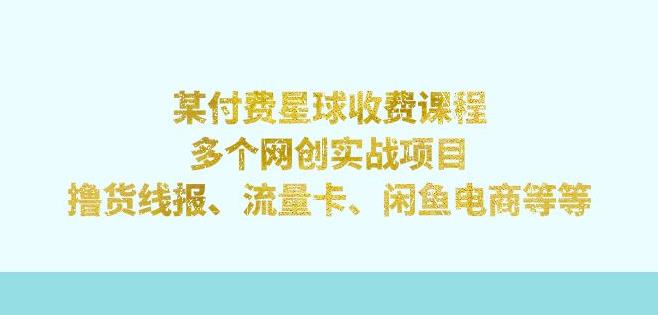 某付费星球课程：多个网创实战项目，撸货线报、流量卡、闲鱼电商等（文档非视频）-讯领网创