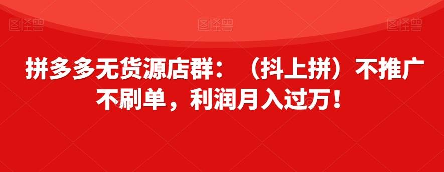 拼多多无货源店群：（抖上拼）不推广不刷单，利润月入过万！【揭秘】-讯领网创