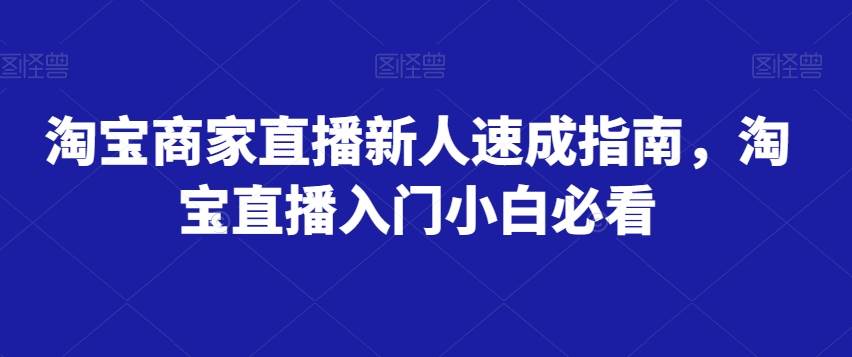 淘宝商家直播新人速成指南，淘宝直播入门小白必看-讯领网创