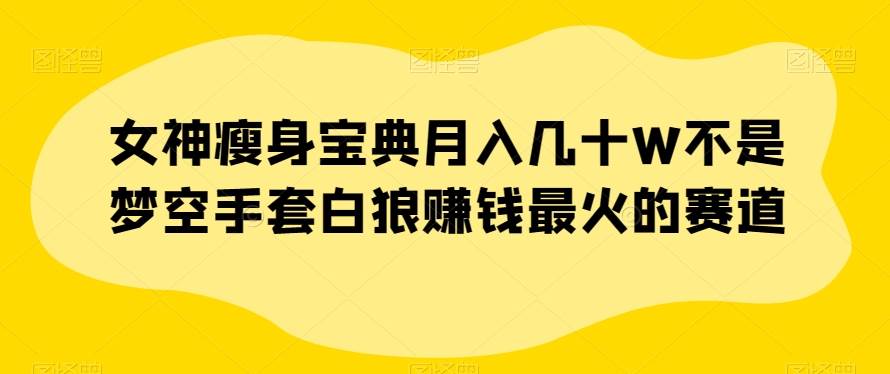 女神瘦身宝典月入几十W不是梦空手套白狼赚钱最火的赛道【揭秘】-讯领网创
