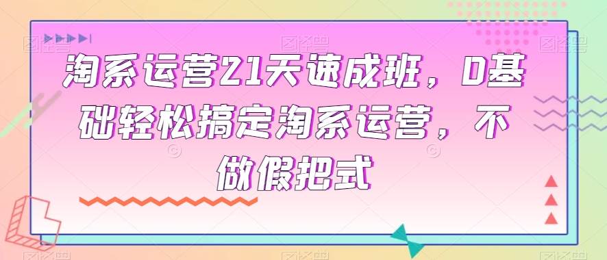 淘系运营21天速成班，0基础轻松搞定淘系运营，不做假把式-讯领网创