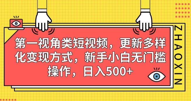 第一视角类短视频，更新多样化变现方式，新手小白无门槛操作，日入500+【揭秘】-讯领网创