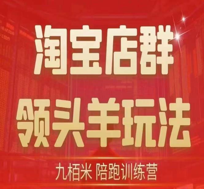 九栢米-淘宝店群领头羊玩法，教你整个淘宝店群领头羊玩法以及精细化/终极蓝海/尾销等内容-讯领网创
