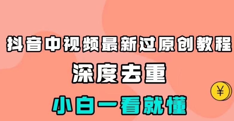抖音中视频最新过原创教程，深度去重，小白一看就懂【揭秘】-讯领网创