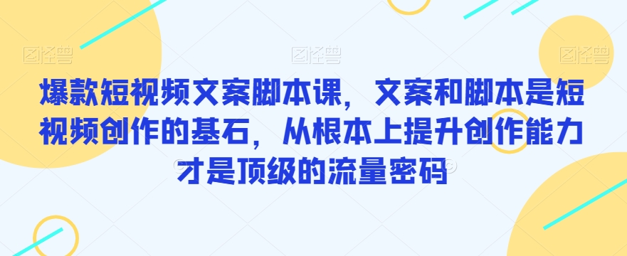 爆款短视频文案脚本课，文案和脚本是短视频创作的基石，从根本上提升创作能力才是顶级的流量密码-讯领网创