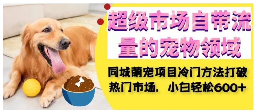 超级市场自带流量的宠物领域，同城萌宠项目冷门方法打破热门市场，小白轻松600+-讯领网创