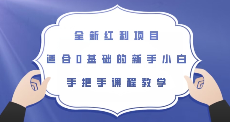 全新红利项目，适合0基础的新手小白，手把手课程教学【揭秘】-讯领网创