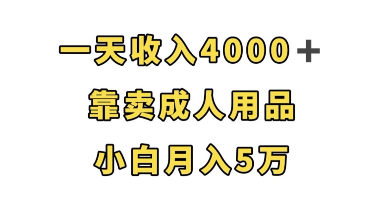 一天收入4000+，靠卖成人用品，小白轻松月入5万【揭秘】-讯领网创