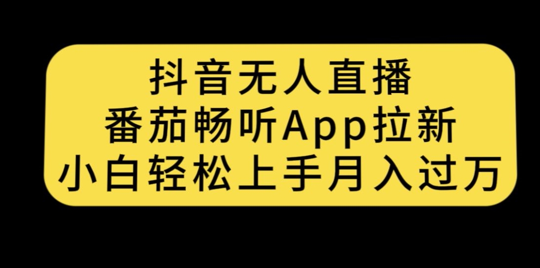 抖音无人直播，番茄畅听APP拉新，小白轻松上手月入过万-讯领网创