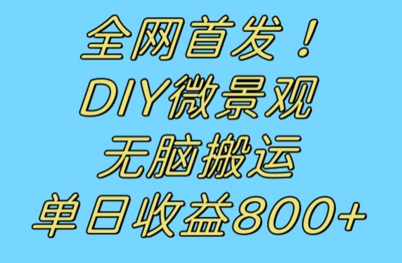 全网首发冷门赛道！DIY微景观，无脑搬运视频，日收益800+【揭秘】-讯领网创