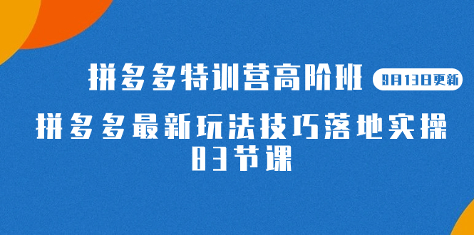 2023拼多多·特训营高阶班【9月13日更新】拼多多最新玩法技巧落地实操-83节-讯领网创