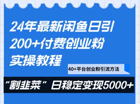 24年最新闲鱼日引200+付费创业粉，割韭菜每天5000+收益实操教程！-讯领网创