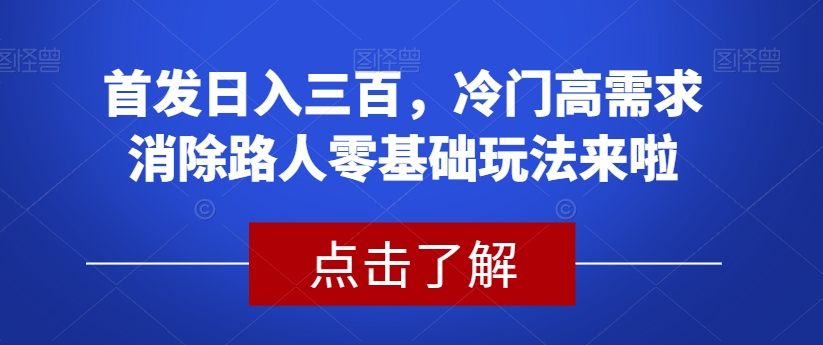 首发日入三百，冷门高需求消除路人零基础玩法来啦【揭秘】-讯领网创
