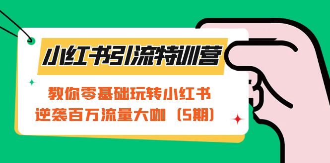 小红书引流特训营-第5期：教你零基础玩转小红书，逆袭百万流量大咖-讯领网创