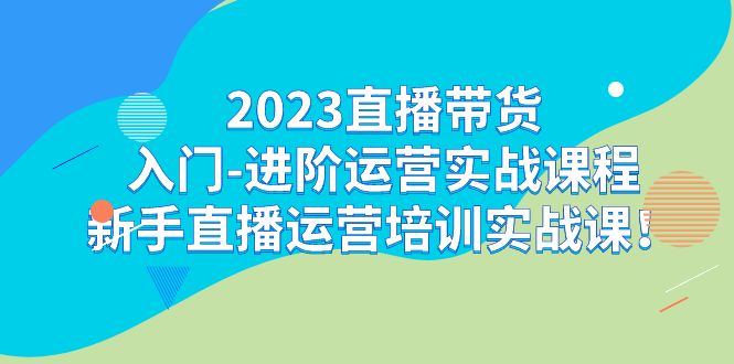 2023直播带货入门-进阶运营实战课程：新手直播运营培训实战课-讯领网创