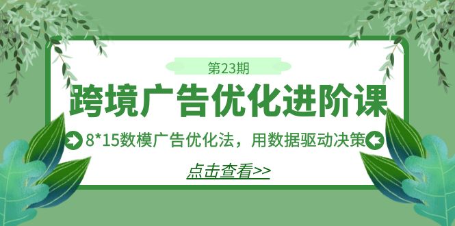 跨境广告·优化进阶课·第23期，8*15数模广告优化法，用数据驱动决策-讯领网创