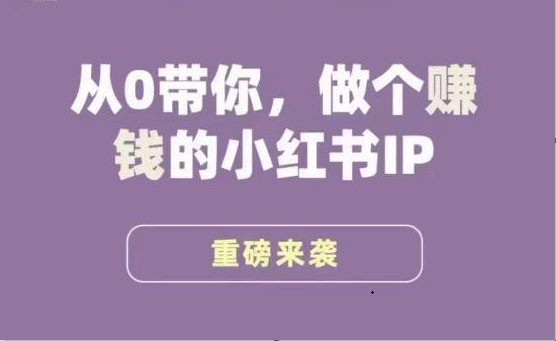 小红书运营大宝典，从0带你做个赚钱的小红书IP-讯领网创