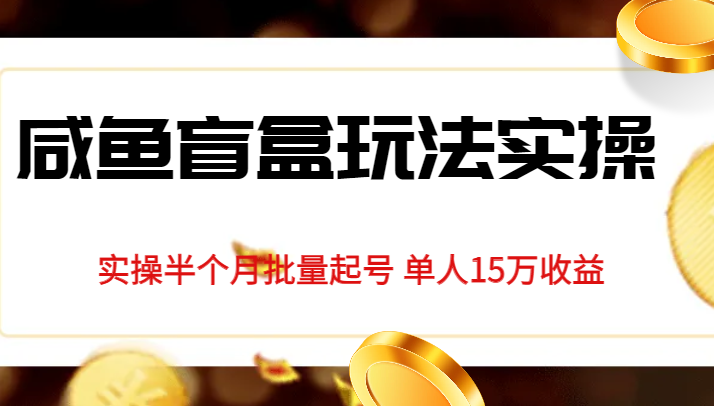 独家首发咸鱼盲盒玩法实操，半个月批量起号单人15万收益揭秘-讯领网创