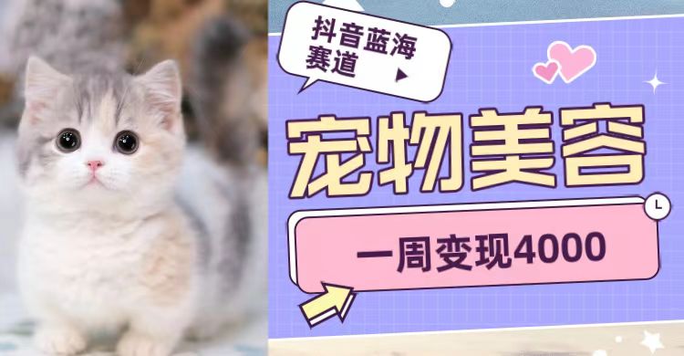 抖音蓝海赛道，宠物美容，一周变现4000-讯领网创