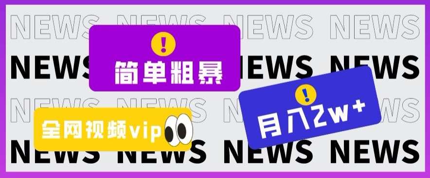 简单粗暴零成本，高回报，全网视频VIP掘金项目，月入2万＋【揭秘】-讯领网创
