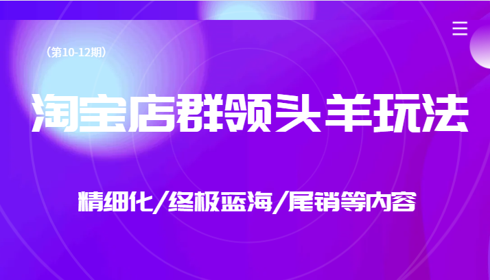 淘宝店群领头羊玩法，精细化/终极蓝海/尾销等内容-讯领网创