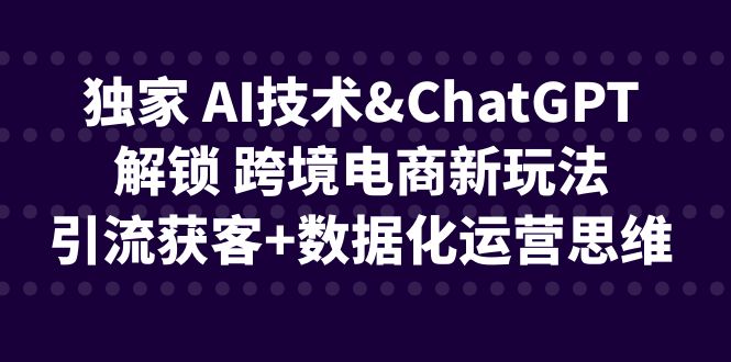 独家 AI技术&ChatGPT解锁 跨境电商新玩法，引流获客+数据化运营思维-讯领网创