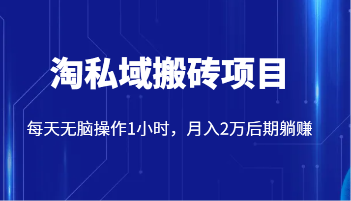 价值2980的淘私域搬砖项目，每天无脑操作1小时，月入2万后期躺赚-讯领网创