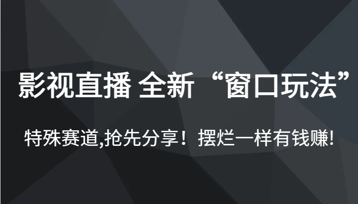 影视直播 全新“窗口玩法”，特殊赛道,抢先分享！摆烂一样有钱赚!-讯领网创