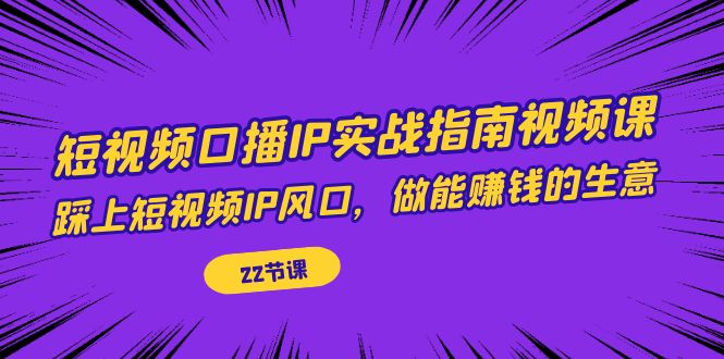 短视频口播IP实战指南视频课，踩上短视频IP风口，做能赚钱的生意（22节课）-讯领网创