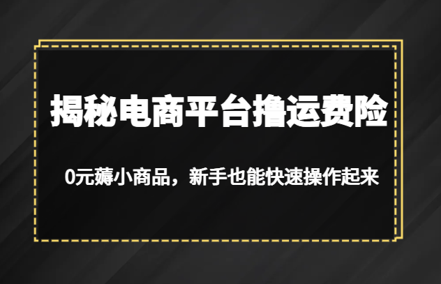 揭秘电商平台撸运费险，0元薅小商品，新手也能快速操作起来-讯领网创