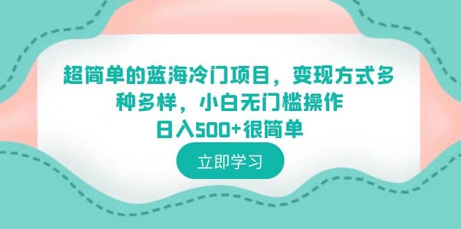 超简单的蓝海冷门项目，变现方式多种多样，小白无门槛操作日入500+很简单-讯领网创