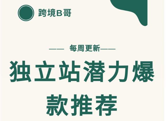 【跨境B哥】独立站潜力爆款选品推荐，测款出单率高达百分之80（每周更新）-62网赚