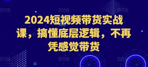 2024短视频带货实战课，搞懂底层逻辑，不再凭感觉带货-讯领网创