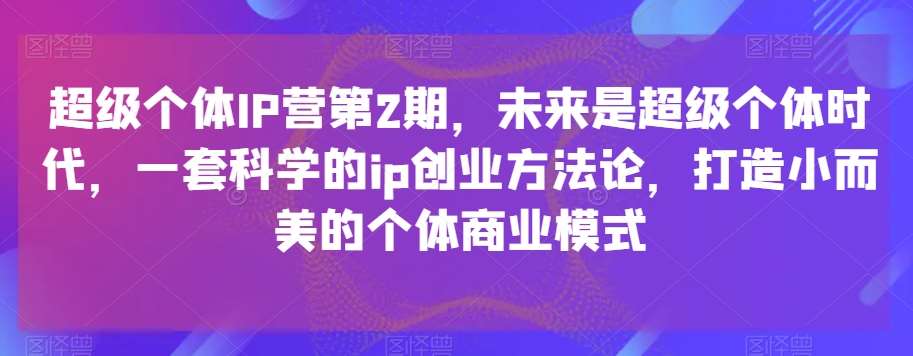 超级个体IP营第2期，未来是超级个体时代，一套科学的ip创业方法论，打造小而美的个体商业模式-讯领网创