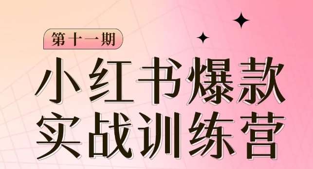 小红书博主爆款训练营第11期，手把手教你从0-1做小红书，从定位到起号到变现-讯领网创