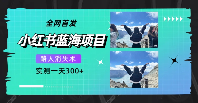 全网首发，小红书蓝海项目，路人消失术，实测一天300+（教程+工具）-讯领网创