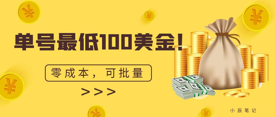 单号最低100美金，零成本，小白无脑操作。可复制，可扩大。-讯领网创