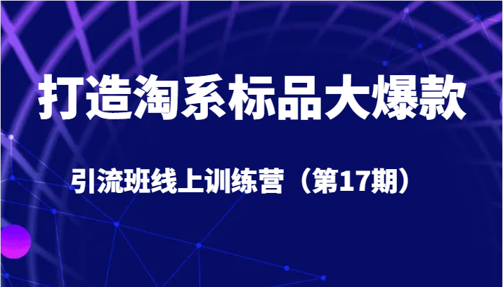 打造淘系标品大爆款引流班线上训练营5天直播授课+1个月答疑-讯领网创