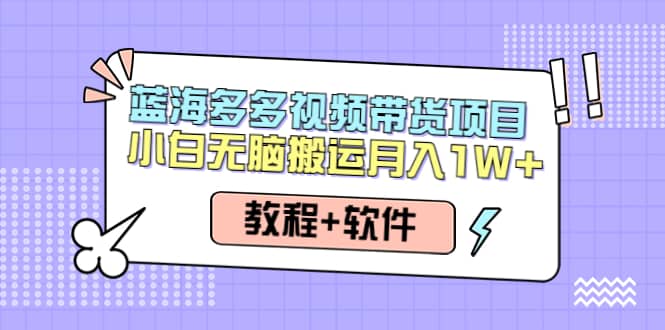 人人都能操作的蓝海多多视频带货项目 小白无脑搬运（教程+软件）-讯领网创