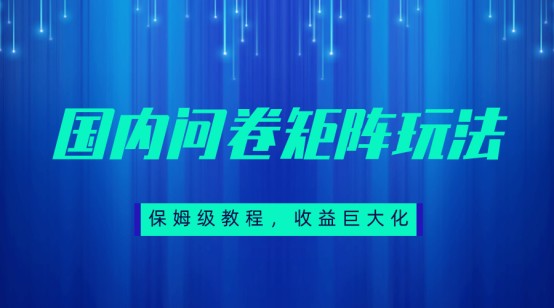 保姆级教程，国内问卷矩阵玩法，轻松赚收益-讯领网创